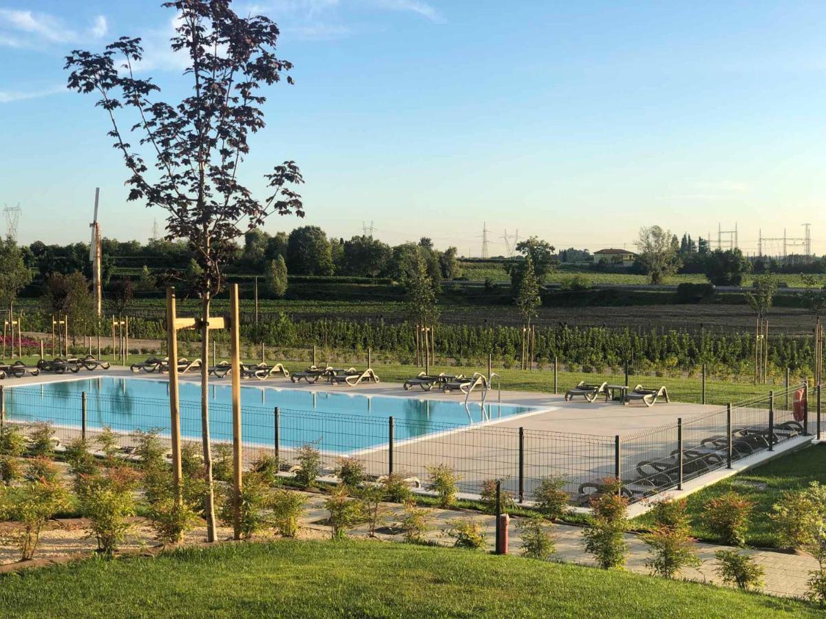Agricamping Al Grappolo Divino Lazise Kültér fotó